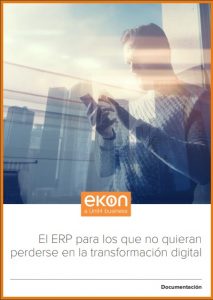 ERP1